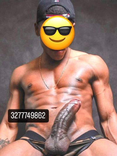 TORO STALLONE DOMINANTE