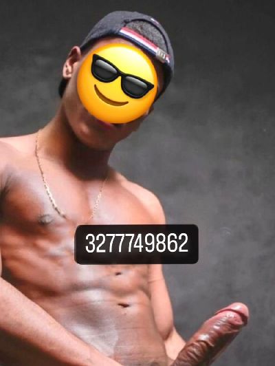 TORO STALLONE DOMINANTE